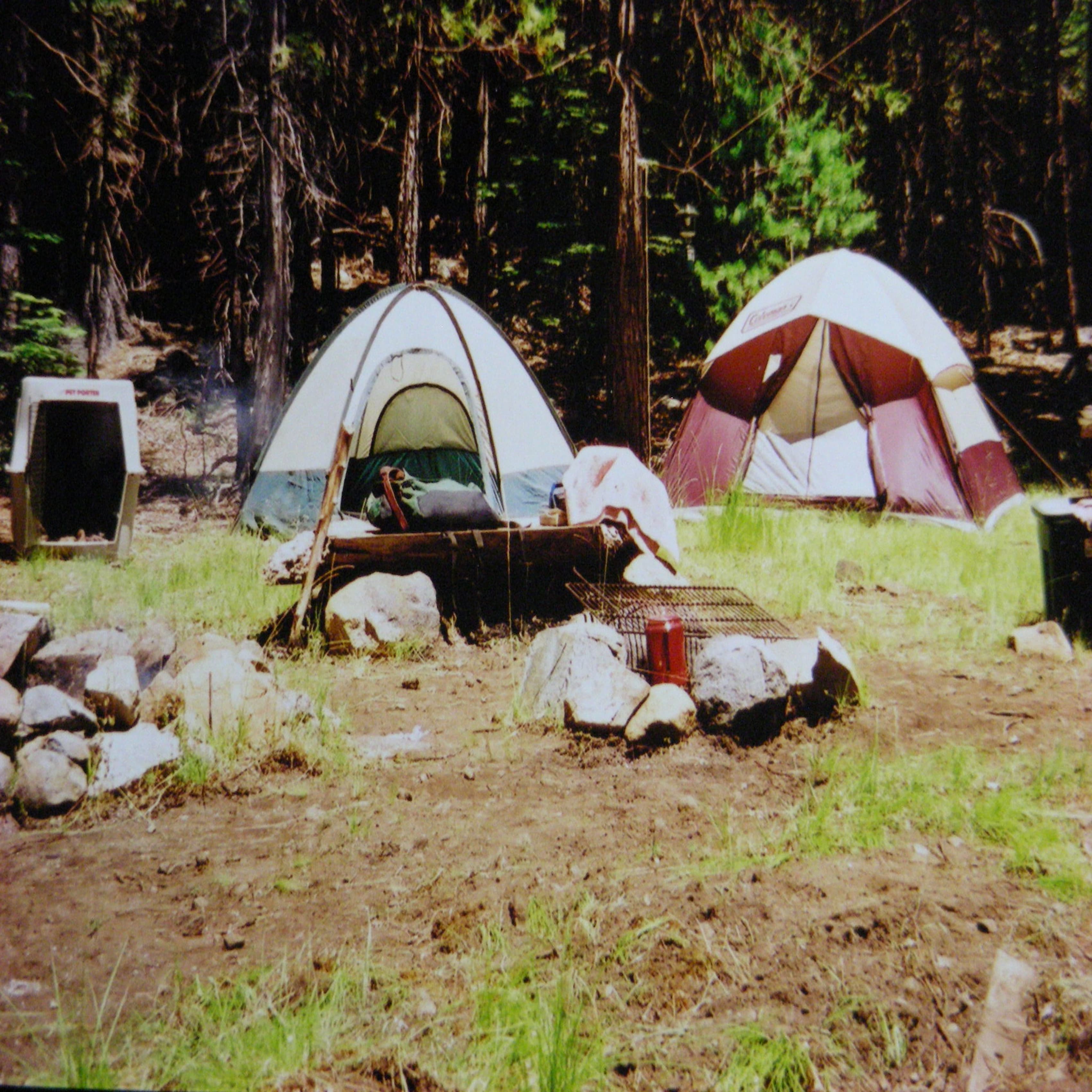 Campground Background